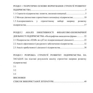 Обґрунтування стратегії розвитку підприємства в сучасних економічних умовах