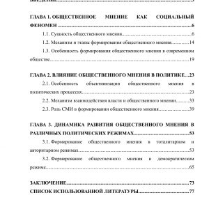 Общественное мнение как объект политического влияния