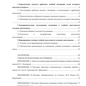 Особенности учебной мотивации детей младшего школьного возраста