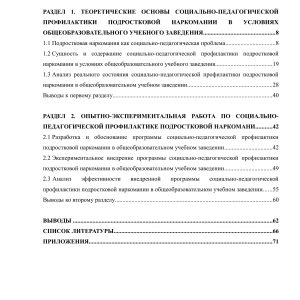Социально-педагогическая профилактика подростковой наркомании в условиях общеобразовательного учебного заведения