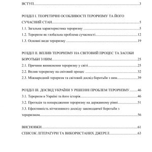 Вплив тероризму на світовий процес