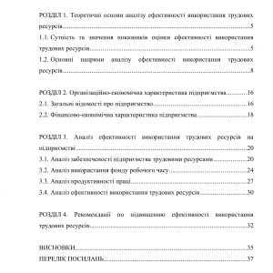 Економічний аналіз ефективності використання трудових ресурсів підприємства